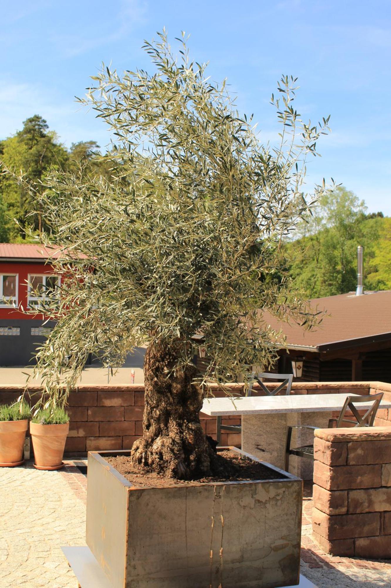 Eppenbrunn Ferienwohnung Altschloss מראה חיצוני תמונה